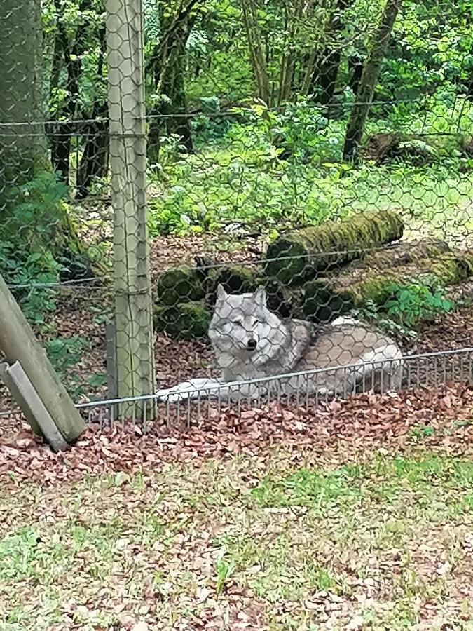 Ferienwohnung Am Wolfsweg Merzig Eksteriør bilde