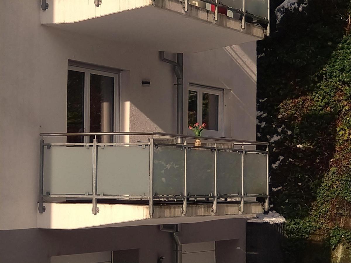 Ferienwohnung Am Wolfsweg Merzig Eksteriør bilde